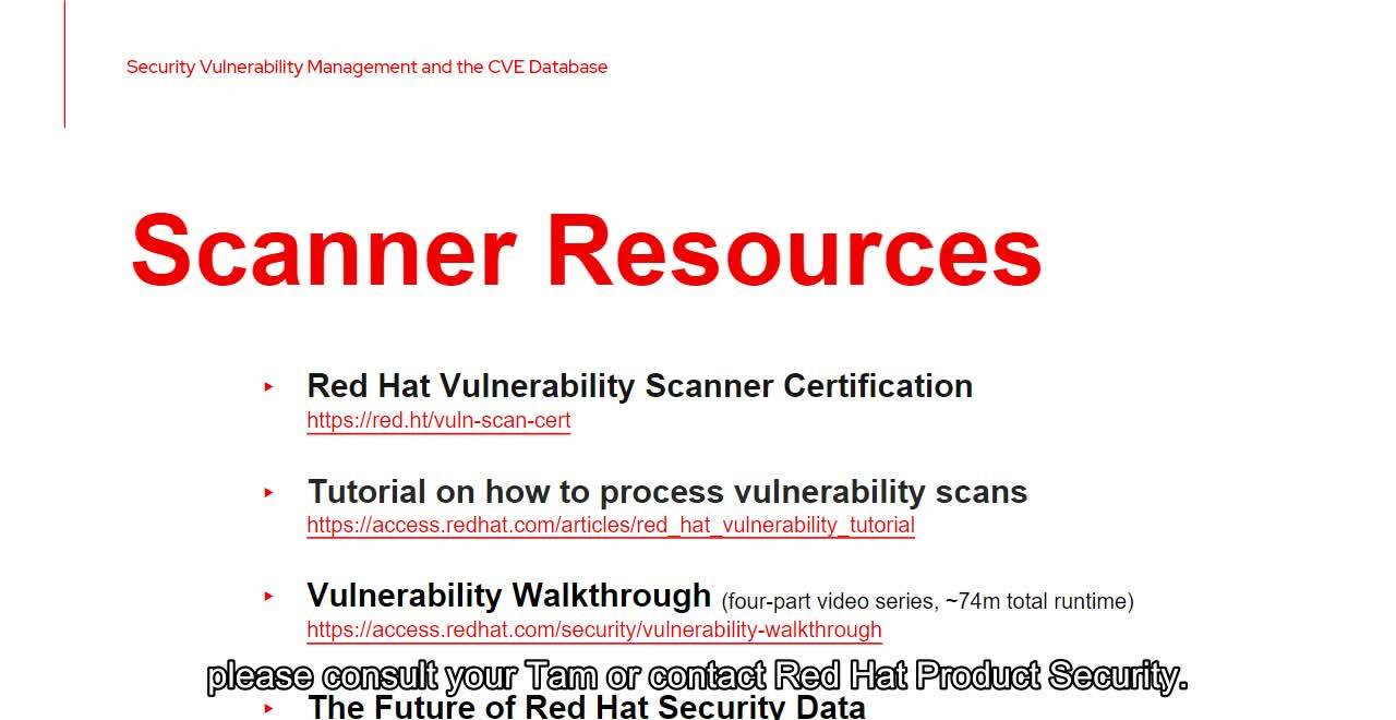 Security vulnerability management and the CVE database